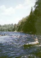 slidm.jpg (12804 bytes)